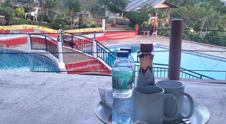 Manga's swimming pool — photo 5