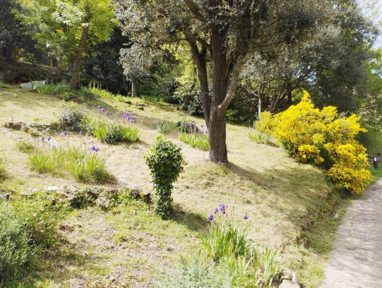 Gite with patio, barbeque & garden — photo 5