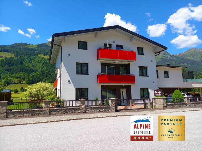 Ferienwohnung  Gasteinertal