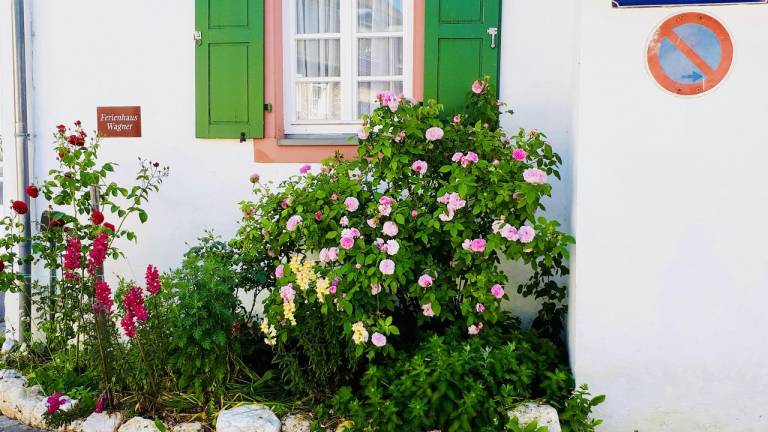 Ferienhaus Bernkastel-Kues