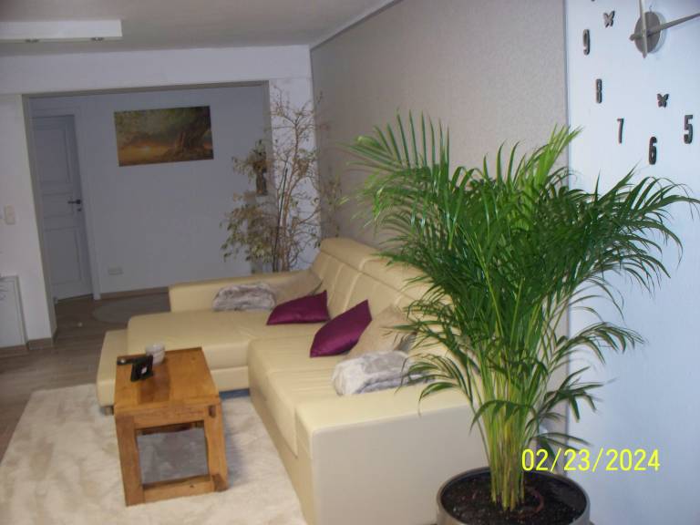 foto1