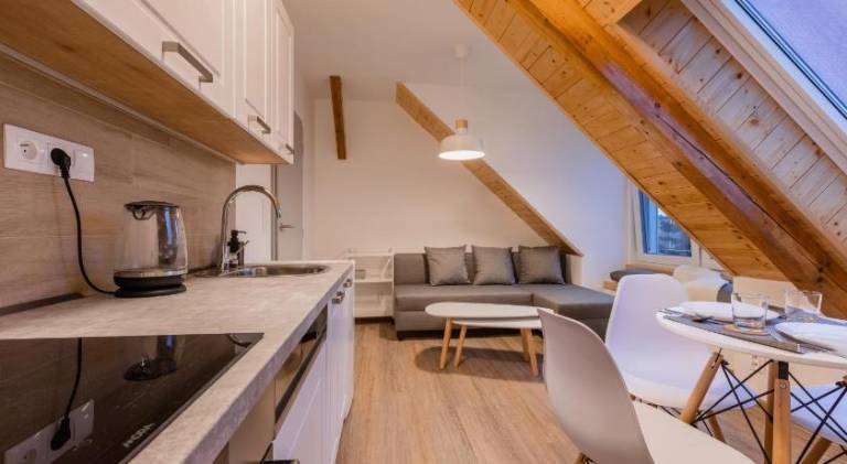 Rental apartment | Next to Saint Wenceslas Cathedral | Pets are welcome — photo 3