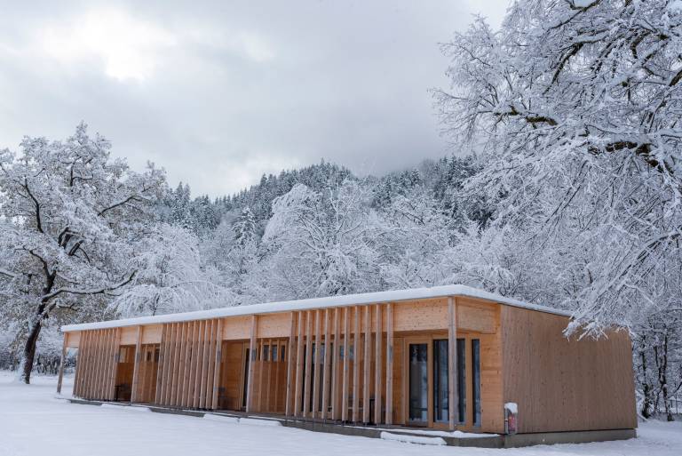 Appartement Dornbirn