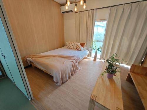 foto7
