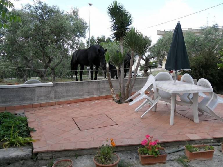 Bed & Breakfast Matera