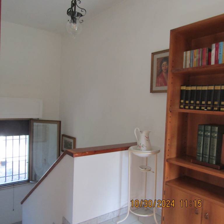 foto40