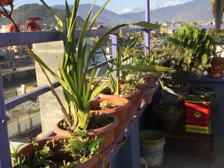 foto48