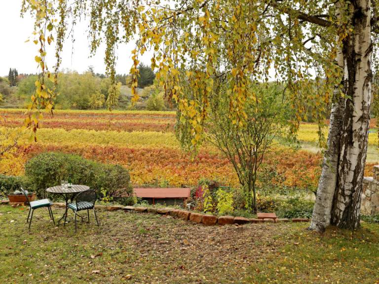 foto20