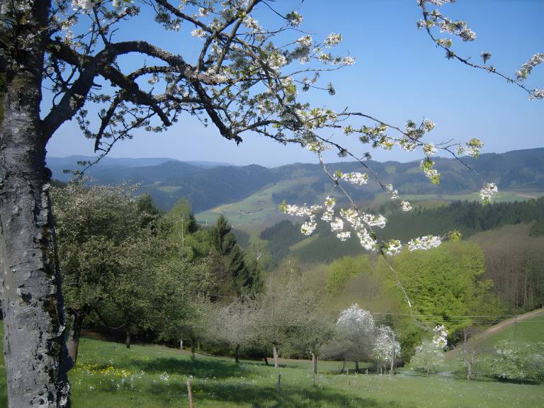 foto19