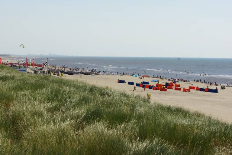 Ferienhaus mit Hund inNoordwijk, Noordwijkerhout  f&uuml;r max. 6 Personen