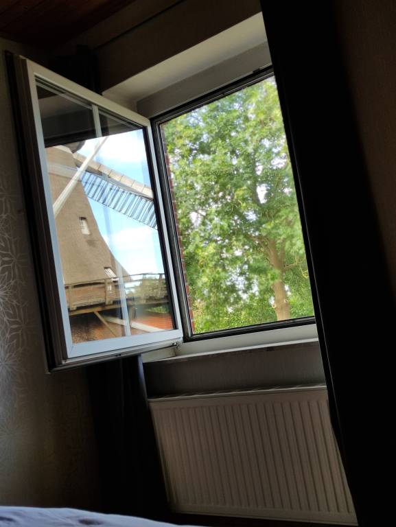 foto13