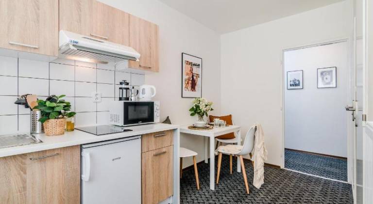 Holiday apartment | Near Wenceslas Square — photo 3