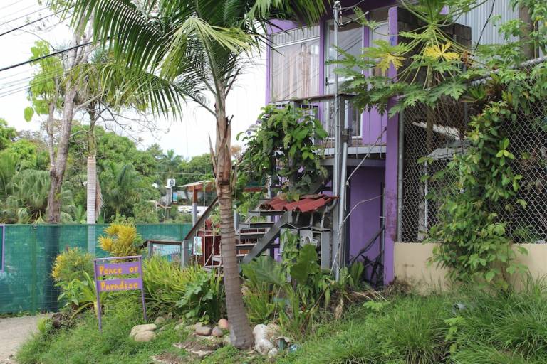 Apartment  Manuel Antonio