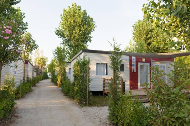 Camping Le Grau-du-Roi