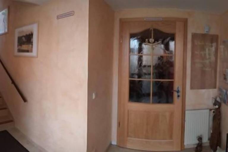 foto19