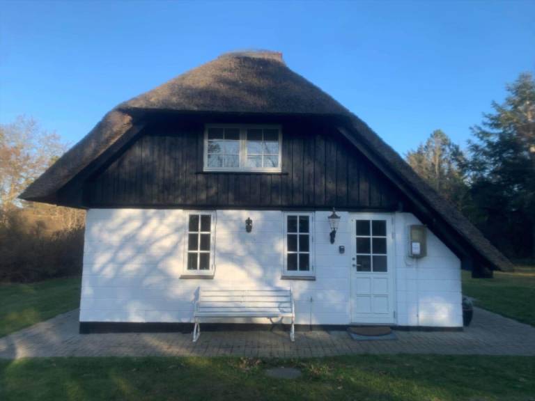 foto29