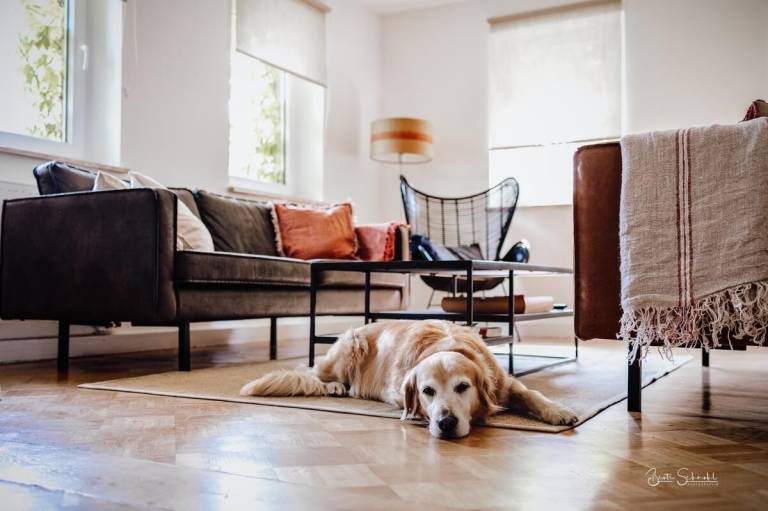 Ferienhaus Künzelsau