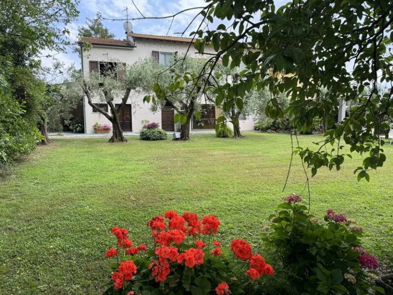 foto41