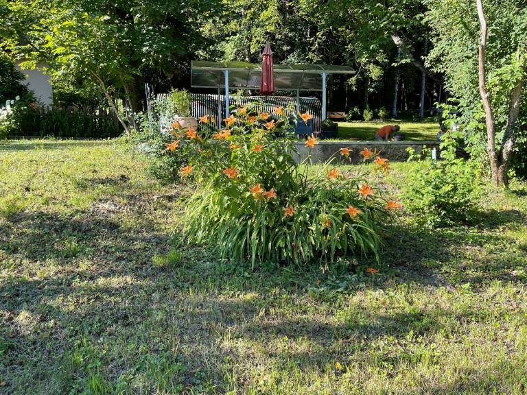 foto22