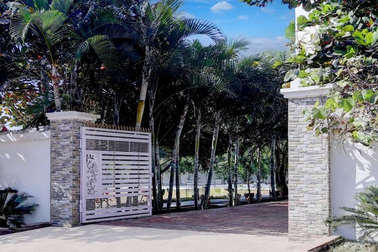 foto11