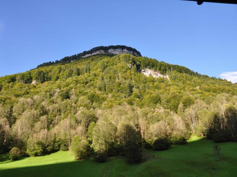 foto20