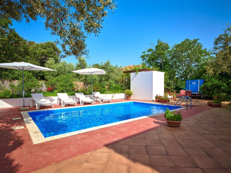 Vacation home with private pool, yard & patio — photo 4
