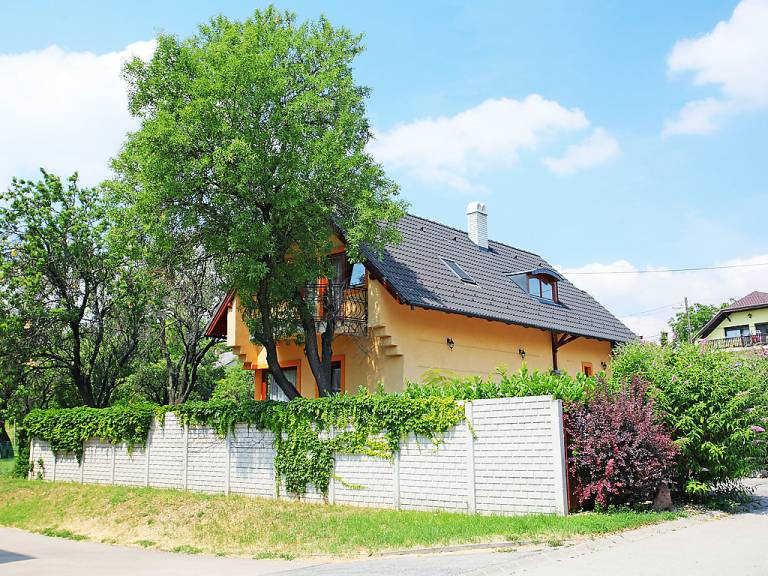 House Balatonfüred