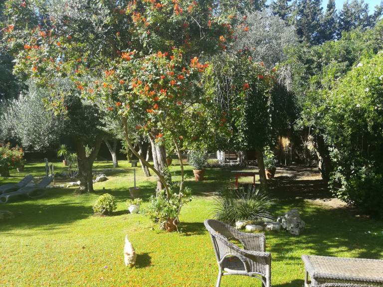 foto39