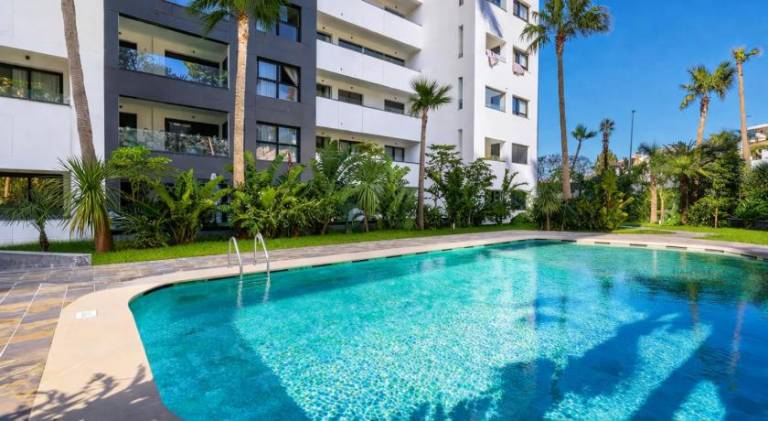 Nice holiday apartment | Close to the beach | Dogs allowed — photo 3