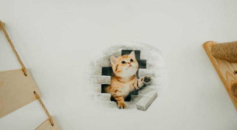 foto40