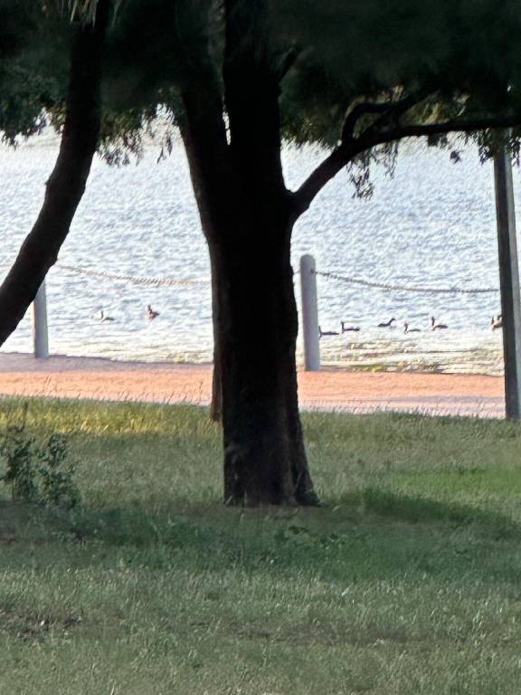 foto25