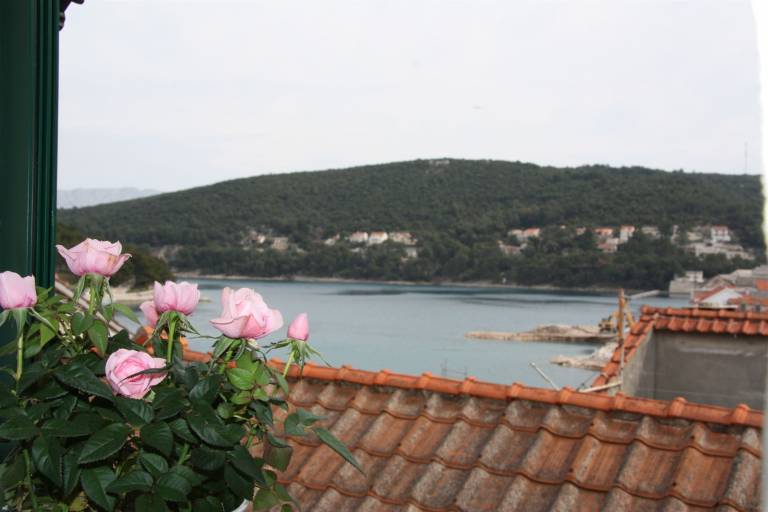 Apartment  Pučišća