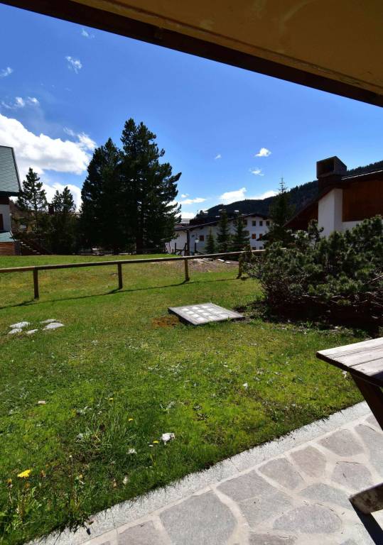 foto49