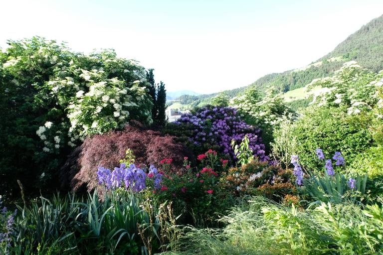 foto12