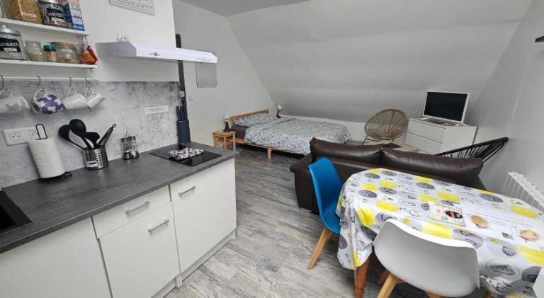 Holiday apartment with garden | Pets allowed — photo 4
