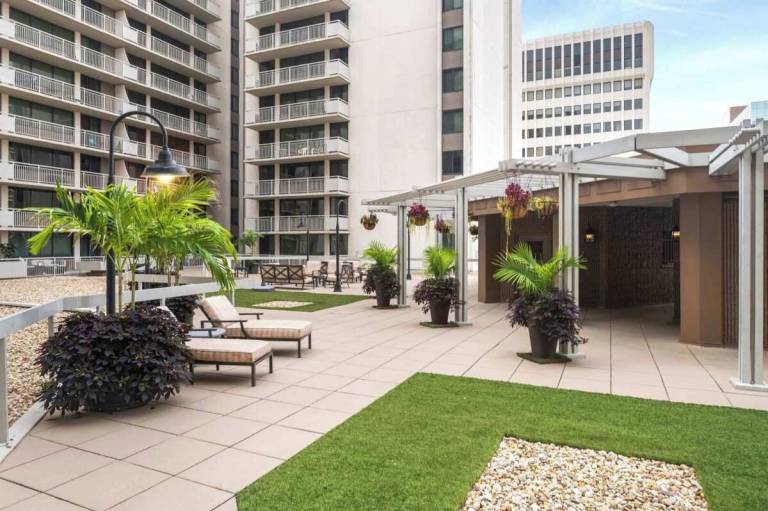 Apartment  Del Ray