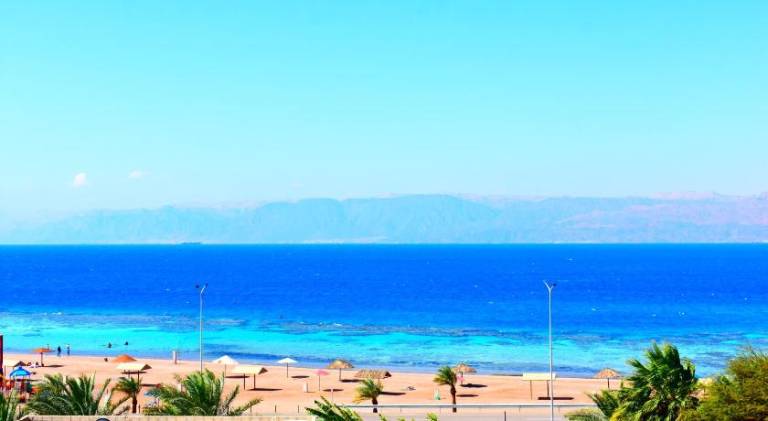 Bedouin Garden Village — photo 4