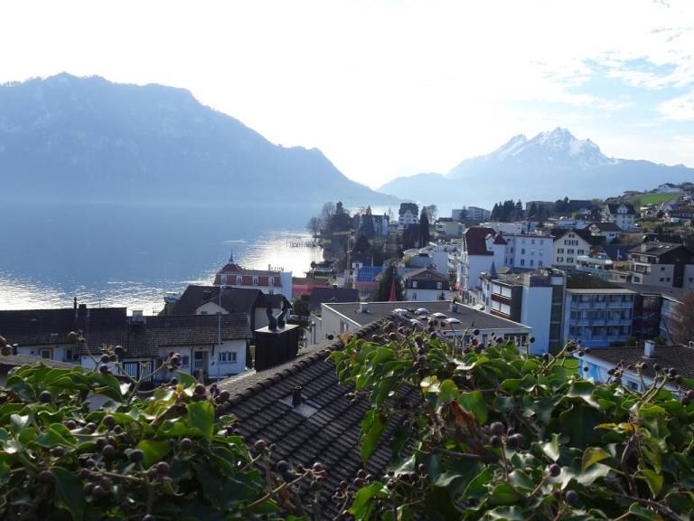 Appartement  Luzern