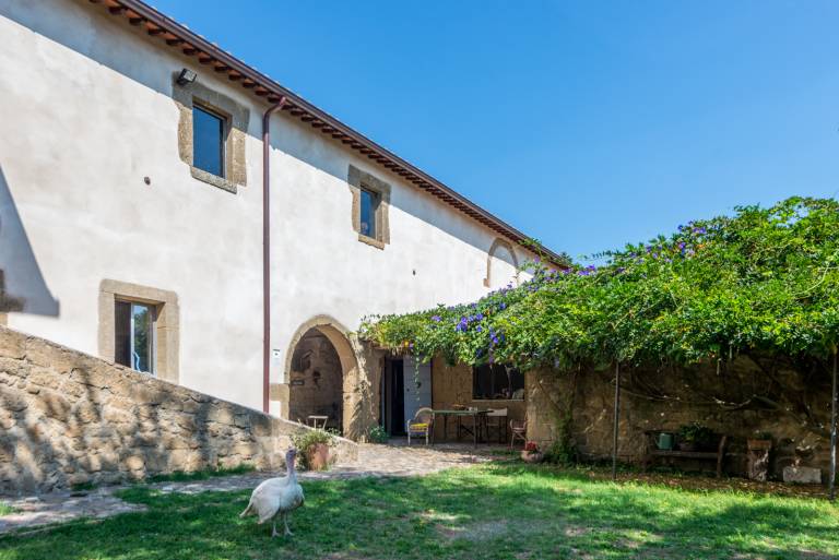 Agriturismo Borgo Rinascimento: La casa di Pietro in Viterbo