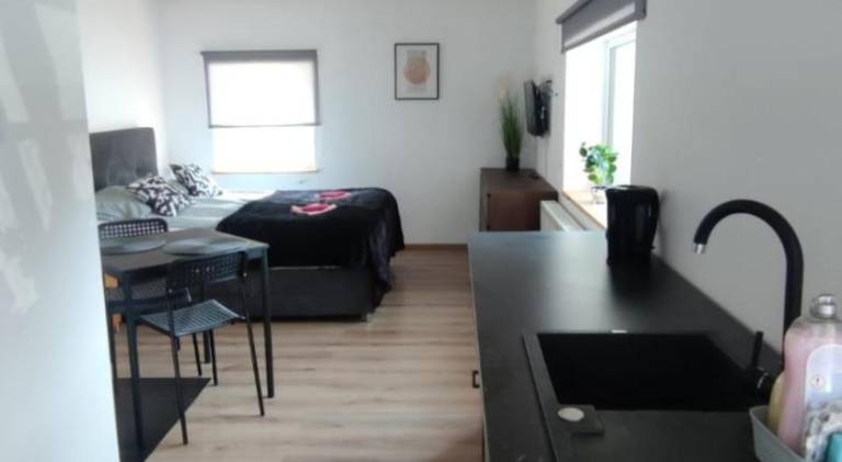 Apartment | Good for workation | Dogs allowed — photo 5