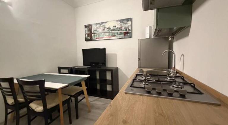 Apartment with 1 room for 2 persons in Turin