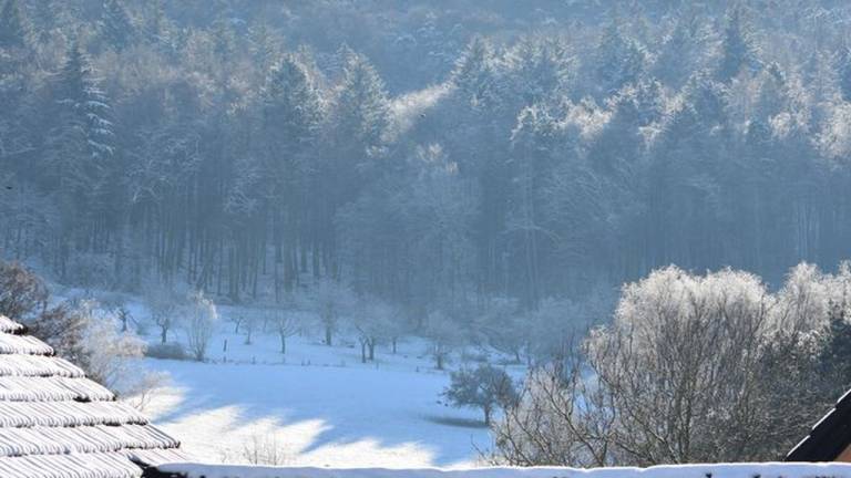 Ferienwohnung  Seeheim-Jugenheim