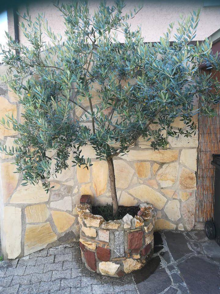 foto10