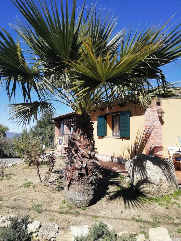 Appartamento Caltanissetta