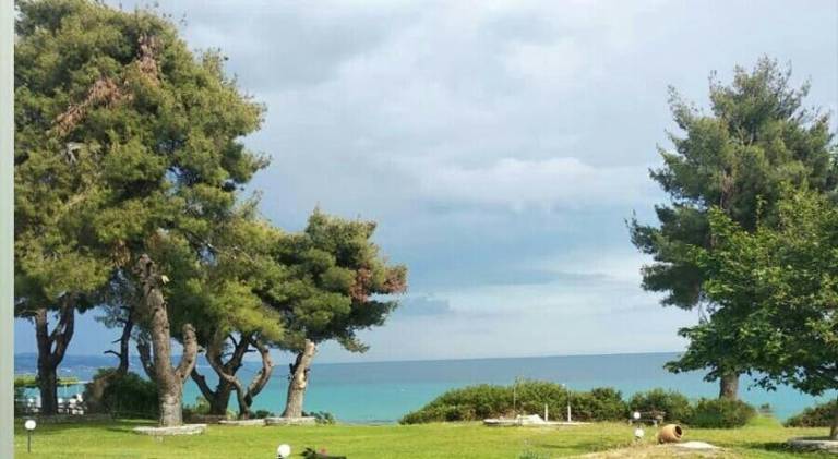 Rental apartment with terrace & yard | Beach nearby | Pets are welcome in Kassandra