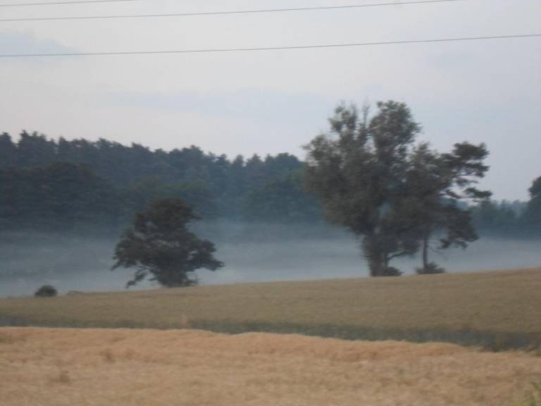 foto12