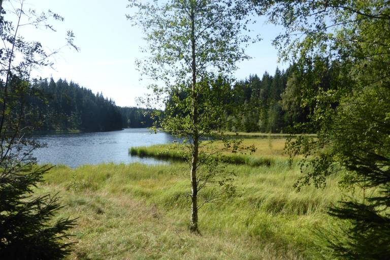 foto20