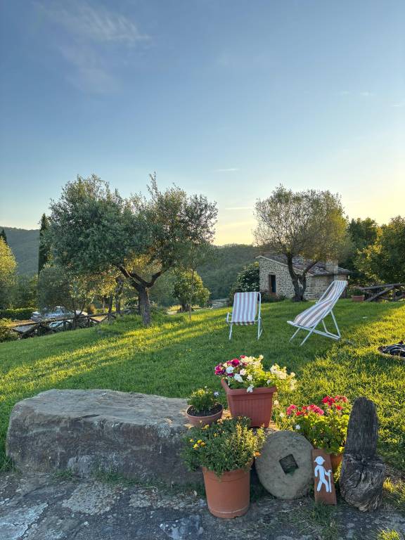 Agriturismo D'ambiano Arezzo: Agriturismo D'ambiano Arezzo — photo 4