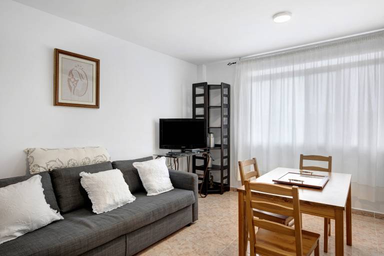 Apartment  Todoque