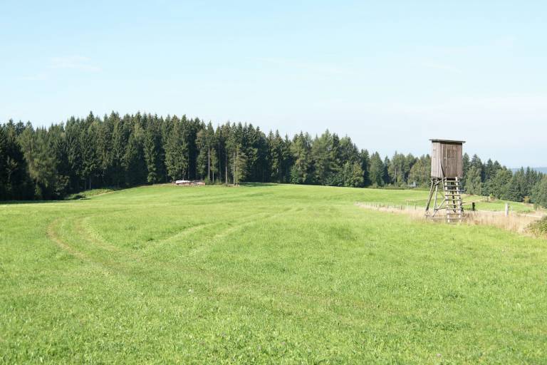 foto22